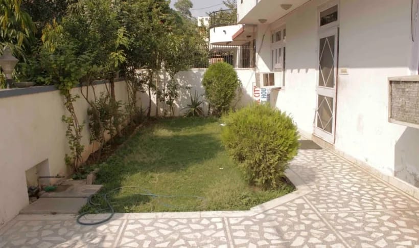 Garden / courtyard